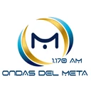 Ondas del Meta