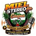 Miel Stéreo