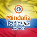 Mindalia Voz