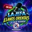 La Jefa Llanos Orientales