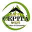Radio Cepitá