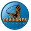 Gavilanes Stereo